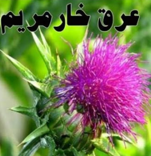 فروش عرق خارمریم