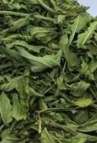 فروش نعناع خشک (گیاه‌ دارویی)