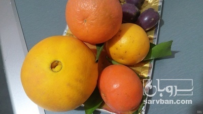 فروش پرتقال