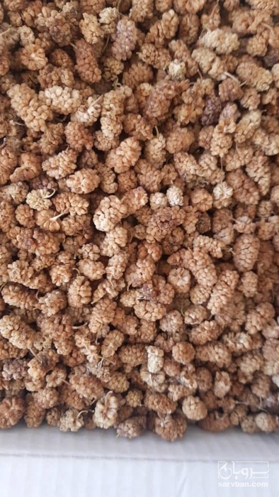 فروش توت خشک