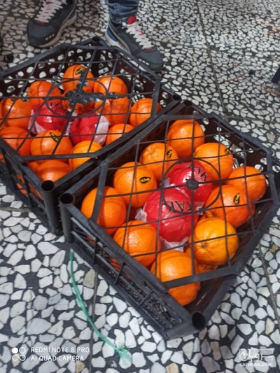 فروش پرتقال