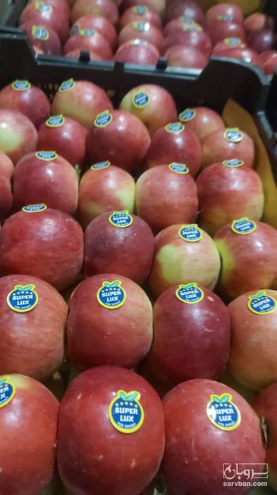 فروش سیب قرمز