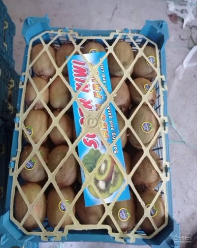فروش کیوی