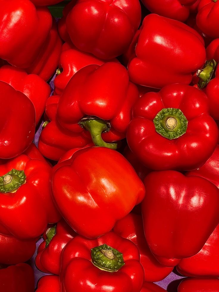 فروش فلفل دلمه ای قرمز