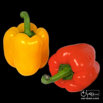 فروش فلفل دلمه ای