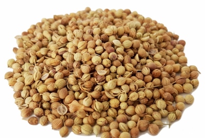 فروش تخم گشنیز