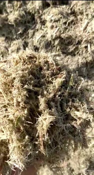 فروش کاه نیشکر