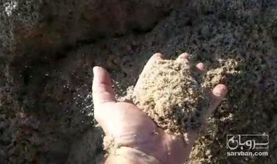 فروش پیت باگاس نیشکر