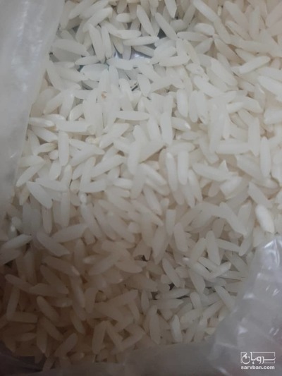 فروش برنج