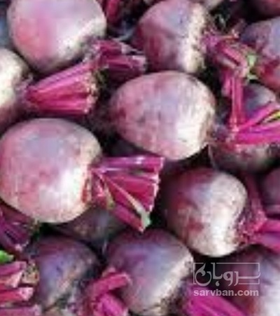 فروش چغندر لبو