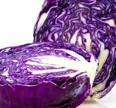 فروش کلم برگی بنفش