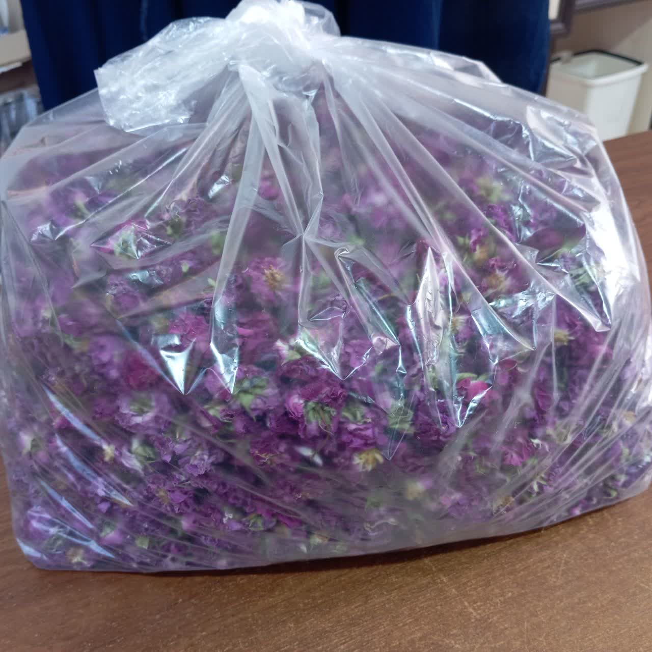 فروش گل محمدی (گیاه‌ دارویی)
