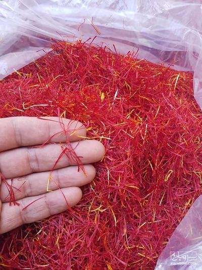 فروش زعفران