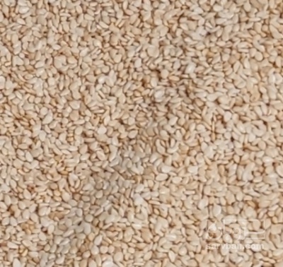 فروش کنجد شسته