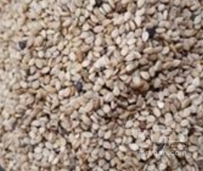 فروش کنجد ارده گیری