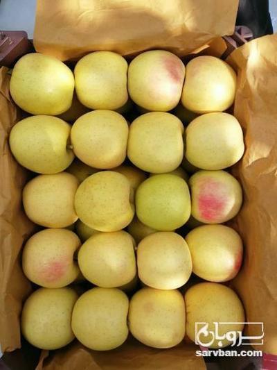 فروش سیب زرد