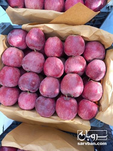 فروش سیب قرمز