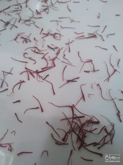 فروش زعفران سرگل