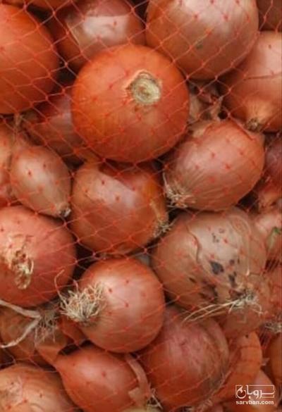 فروش پیاز طلایی