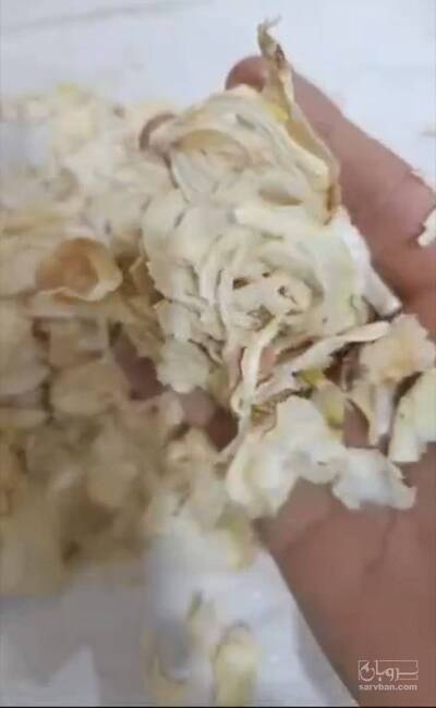 فروش پیاز خشک (گیاه‌ دارویی)