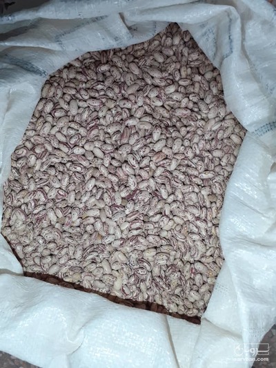 فروش لوبیا چیتی