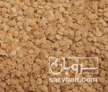 بذرفلفل دلمه دستی آرش میدوس