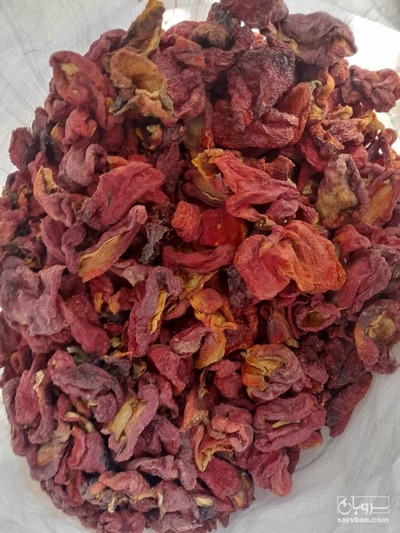 فروش پاپریکا خشک