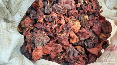 فروش فلفل دلمه ای خشک