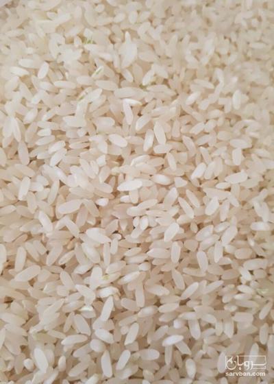 فروش برنج چمپا