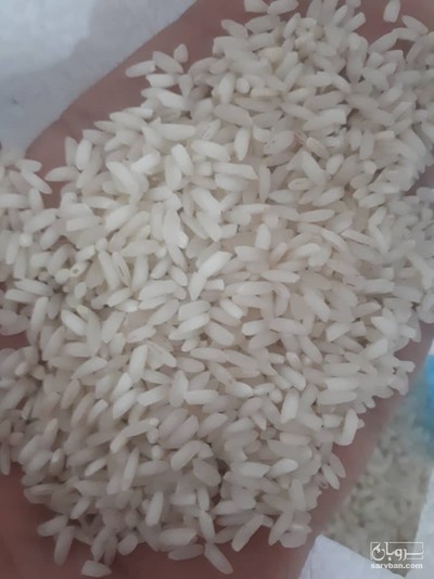 فروش برنج عنبربو