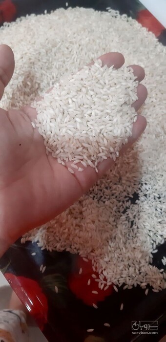 فروش برنج