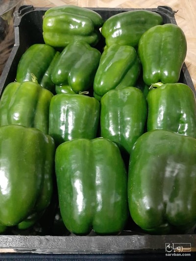 فروش فلفل دلمه ای