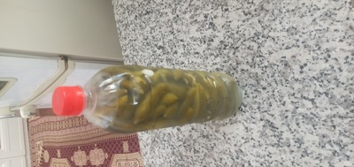 فروش خیار شور