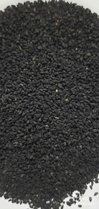 فروش سیاهدانه