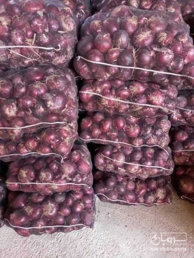 فروش پیاز قرمز