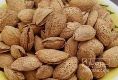 فروش بادام
