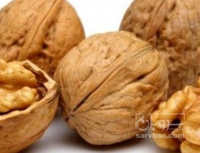 فروش گردو