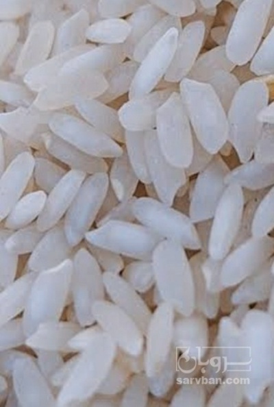 فروش برنج