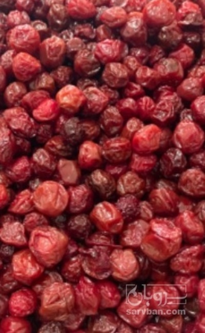 فروش آلبالو خشک