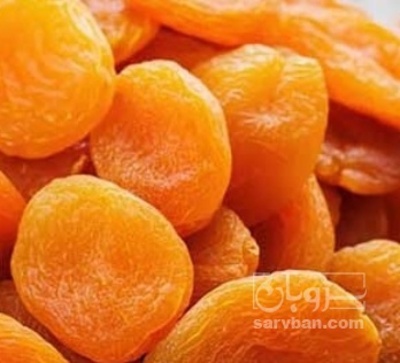 فروش برگه قیسی