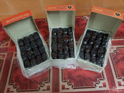 فروش خرمای مضافتی