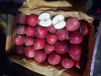 فروش سیب قرمز