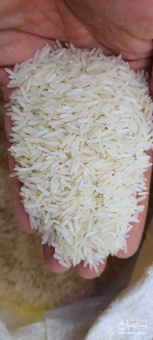 فروش برنج