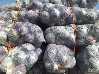 فروش کلم قرمز