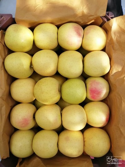 فروش سیب زردوقرمز