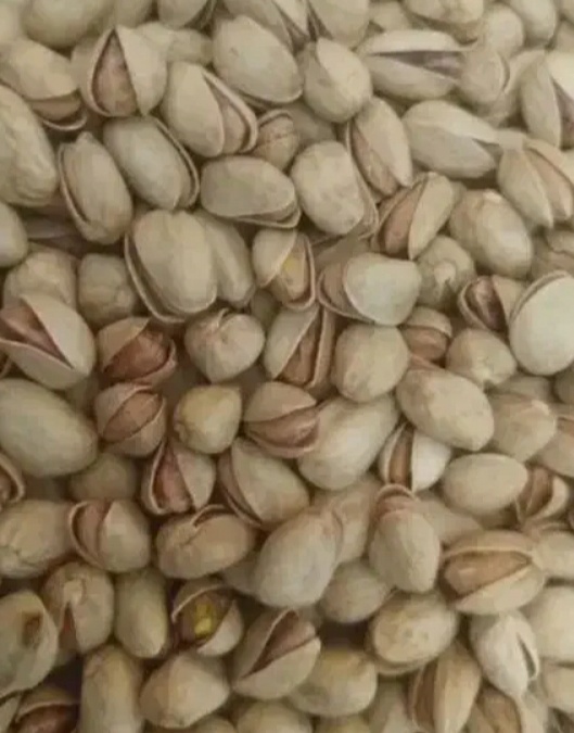 فروش پسته اکبری