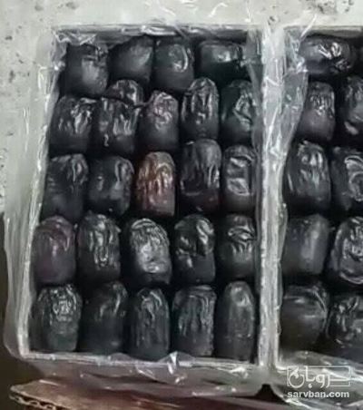 فروش خرما مضافتی