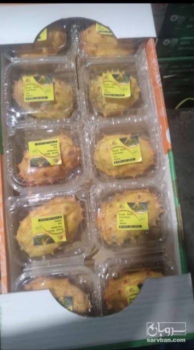 فروش کیوانا (خیار آفریقایی)