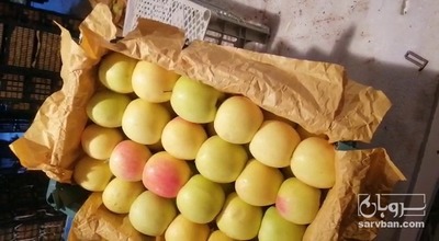 فروش سیب زرد