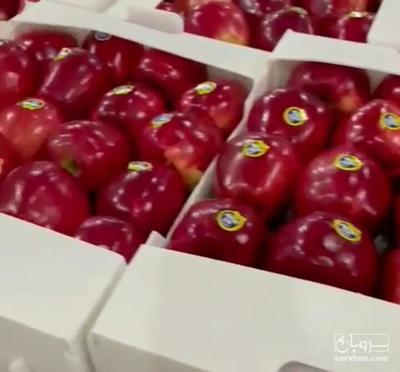 فروش سیب قرمز استخوانی